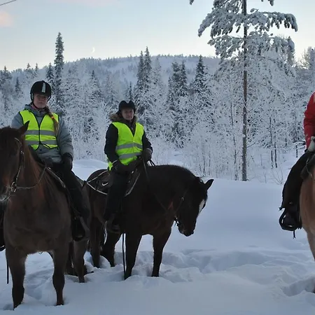 Hébergement de vacances Lucky *